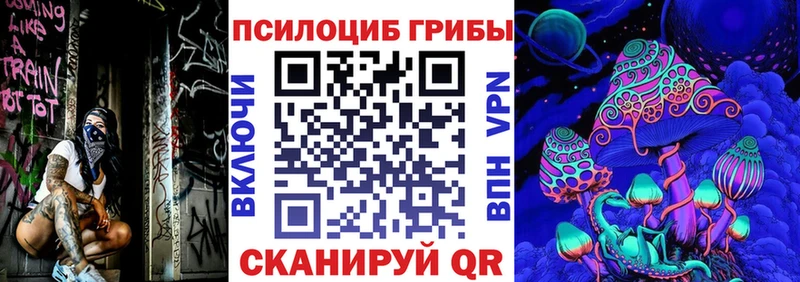 Купить где  Жуковка  Псилоцибиновые грибы Magic Shrooms 